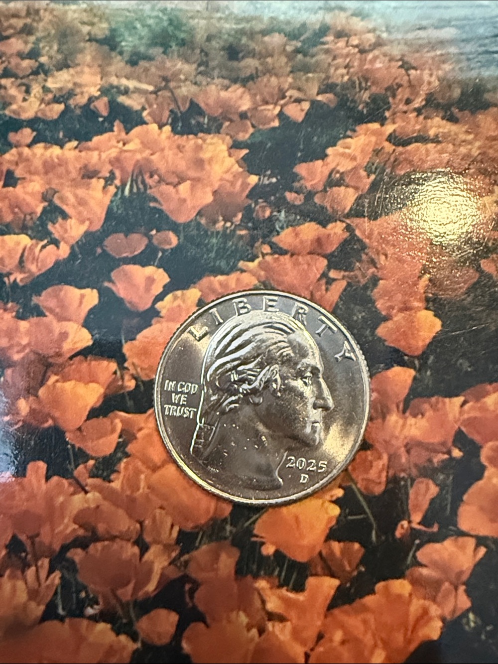 2025 D BU Quarter